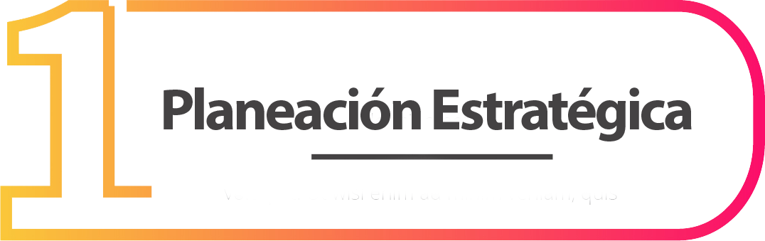 Planeación Estratégica